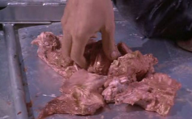 Alive - meat on the wing