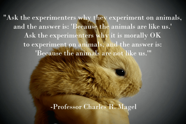Animal testing - like us
